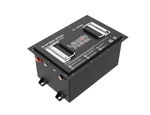 LiFePO4 ゴルフカート 48V 51.2V 100Ah リチウム鉄 LFP バッテリー