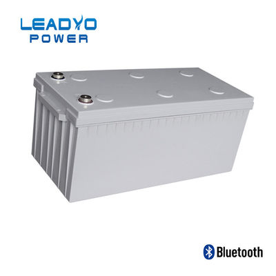 自己の暖房機能のBMS 12V 200Ahの寒い気候のリチウム電池
